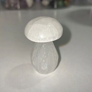 Polished Selenite Mushroom 🍄‍🟫